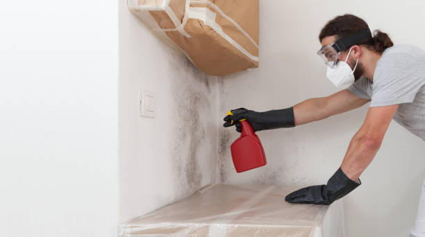 Professional Crawl Space Mold Removal technician working in Sparta, NC