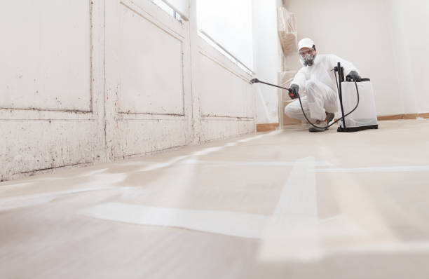 24/7 Emergency Crawl Space Mold Removal experts in Sparta, NC