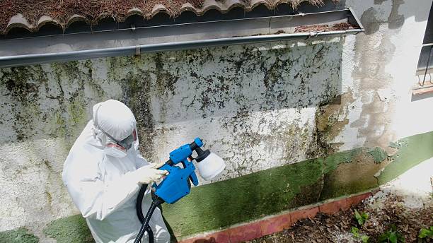 Trusted Commercial Mold Remediation service in Sparta, NC - Cheap Mold Removal